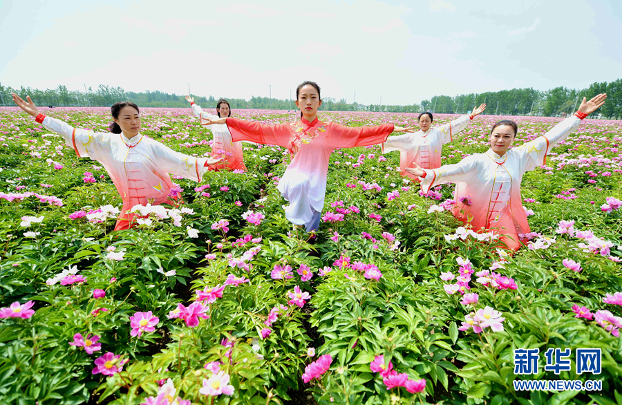 芍药花海添元素 五禽戏中展非遗