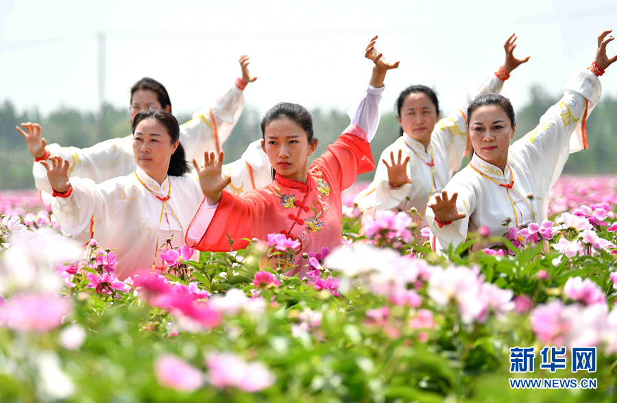 芍药花海添元素 五禽戏中展非遗