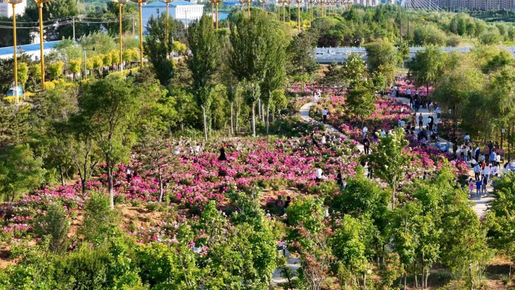 河北平泉：花香口袋公园 市民休闲好去处_fororder_图片 2