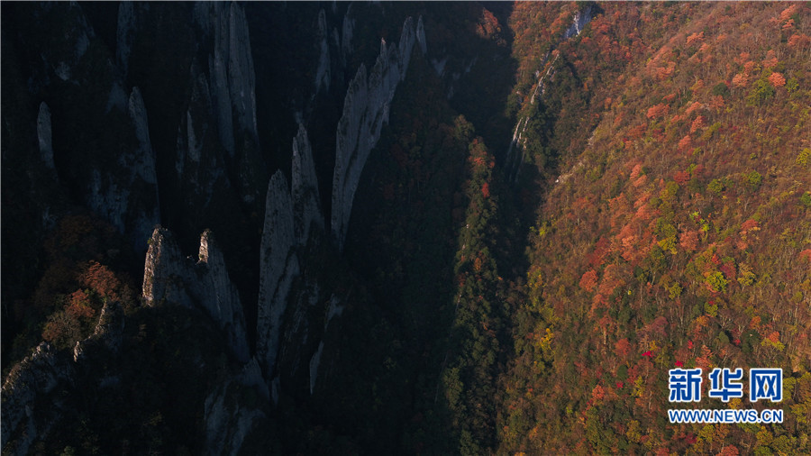 航拍神农架神秘的“三十六把刀” 山峰薄如刀片