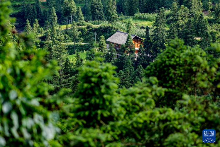 贵州雷山控拜村：600年间回荡的银之歌