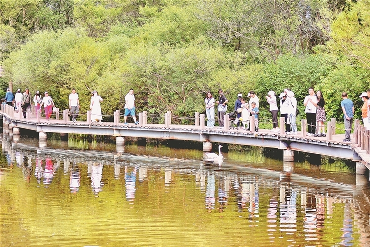 醉龙江|来太阳岛走走