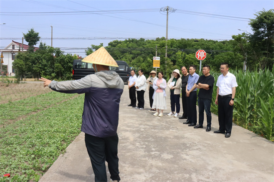 南通通州兴东街道组织人大代表视察民生实事重点亿元项目_fororder_图片1