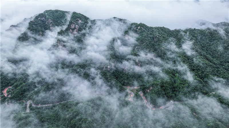 平顶山鲁山石林路：云雾缭绕美如画_fororder_DJI_20240715164449_0280_D