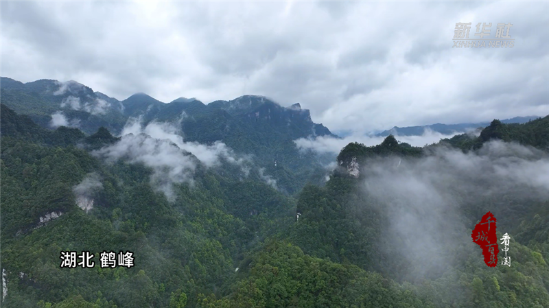 千城百县看中国｜湖北鹤峰：青山雨后黛如诗_fororder_微信图片_20240717093939