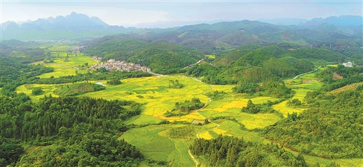 复苏的“空巢村”