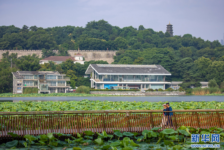 南京玄武湖：荷叶田田 美在当“夏”_fororder_2024061894eb75b78d2f43c9948d340aad31d0e5_20240618aa83497c148341858a00c3b009b7baf1