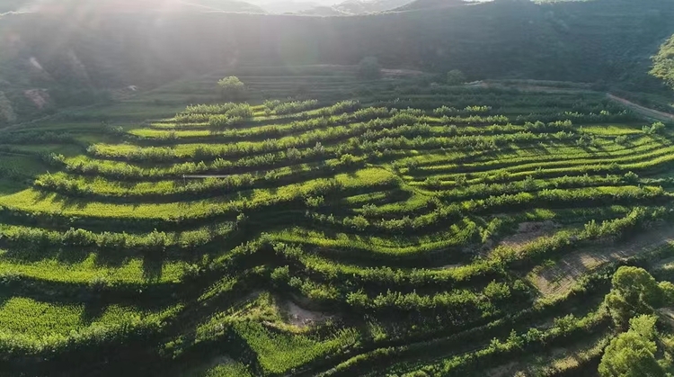 【原创】甘肃省民族地区教育高质量发展 “三年行动”纲领发布_fororder_微信图片_20240719162555