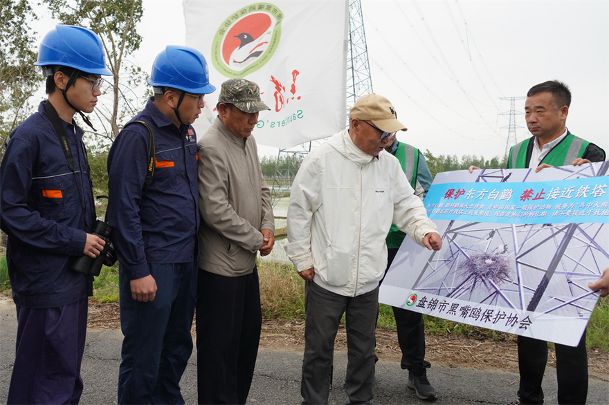 Liaoning Panjin: 'Ecological Operation and Inspection' of Power Grid Protects Rare Birds_fororder_图片6