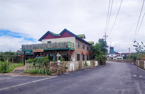 和美乡村 沈阳画卷 | 单家村：“田园+文旅”绘就“稻梦农民”的“良田美景”_fororder_和美乡村2