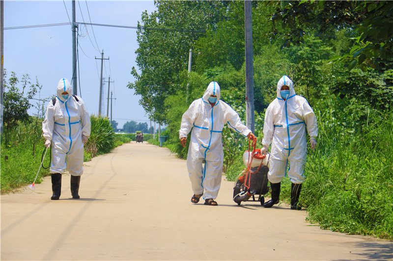 南阳市新野县：抢抓时机 恢复生产_fororder_施庵镇镇村医务人员进行消杀作业.JPG