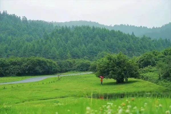 上山避暑一站直达！重庆开通多趟“清凉”旅游直通车