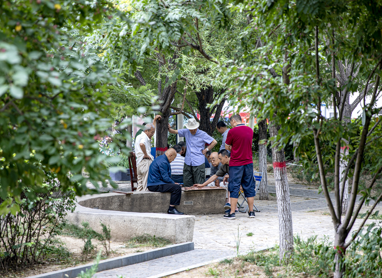 走，到大同避暑去！_fororder_微信图片_20240624152119