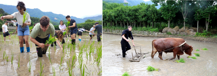 深入秦岭乡村 走进中国生活——应用中文学院国际学生赴陕西留坝、西安研学_fororder_4