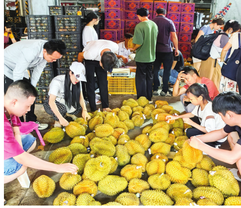 南宁：夏季“鲜”上市 尽享水果季