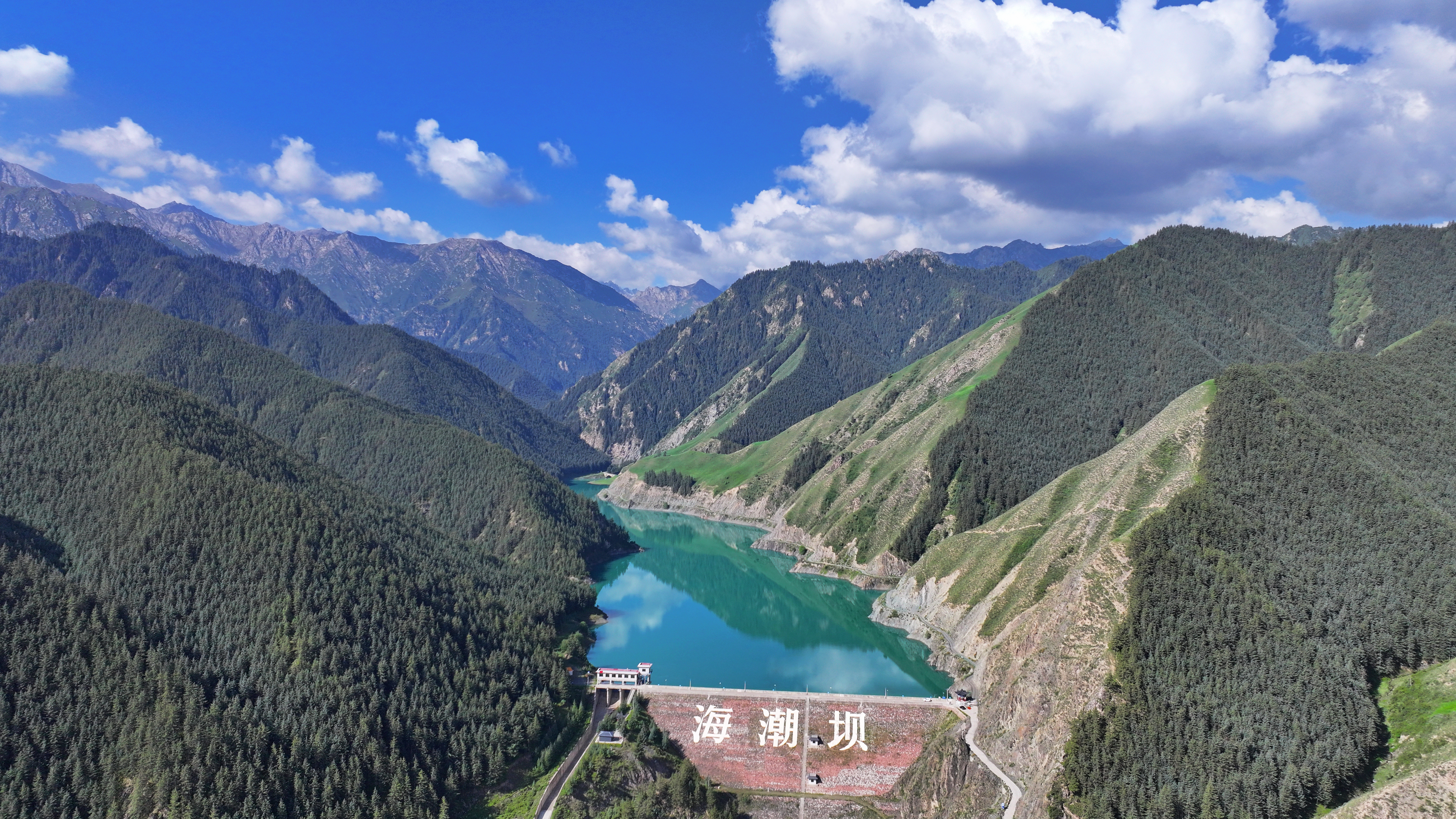 【原创】甘肃民乐：夏日祁连山国家公园景色壮美_fororder_DJI_20240717093703_0421_D.JPG