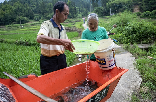 贵州镇远：发鱼送技暖人心 乡村振兴添动能_fororder_金堡群众给领到胡鱼苗浇水.JPG