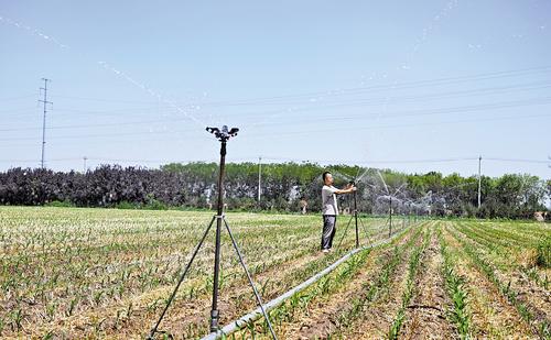 河北多地全力抗旱保苗夯实秋粮丰收基础