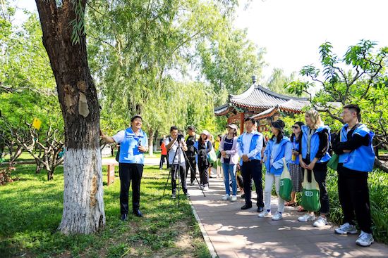 全国科普行动日 2024“奥迪中国自然城市行动”带你走近城市古树_fororder_image001