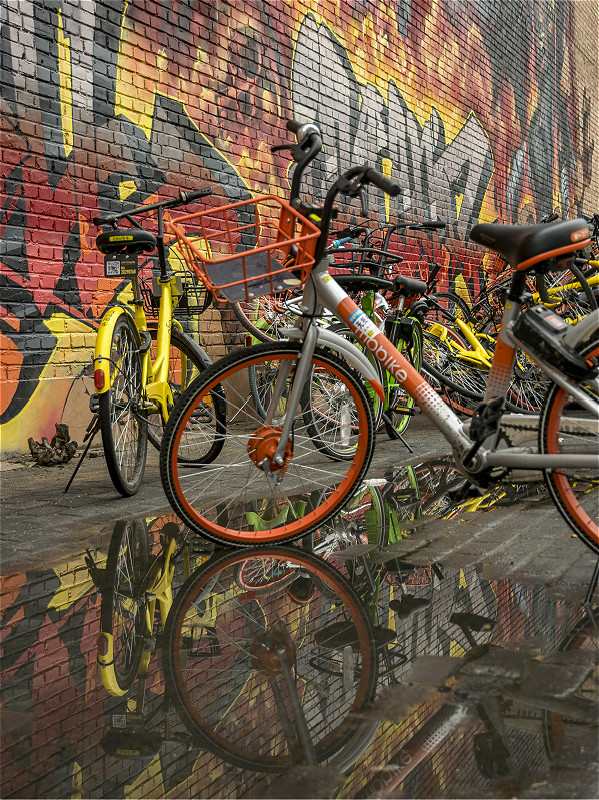 [Beijing in International Friends' Eyes] Shared bicycles on the road