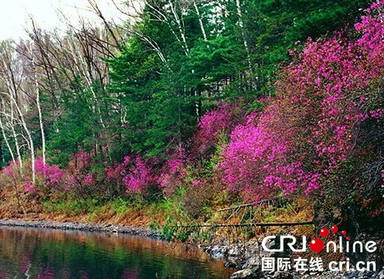 17【吉林】【原创】【CRI看吉林（标题）】【白山松水（大图375 210）】【关东黑土（通化）】【移动版（图）】【专访】张吉顺：欢迎国内外游客来龙湾赏花、赏景