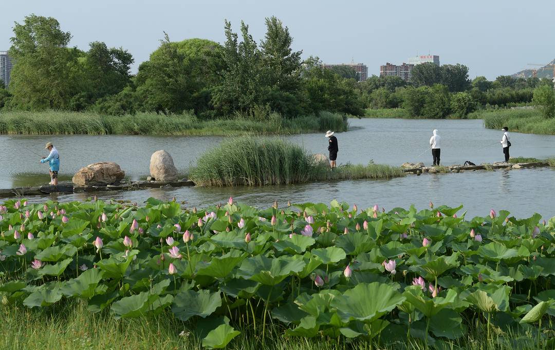 朝阳：畅游大凌河，乐享假日时光