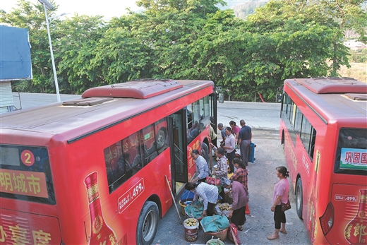 “箩筐专线”串联乡村振兴路