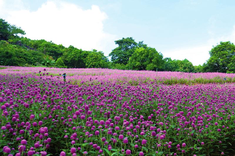 广西实施“景区焕新”工程行动 南宁青秀山等将打造世界级旅游景区