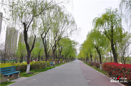 【民生+三秦大地 西安】灞桥湿地春光美  踏青赏春正当时