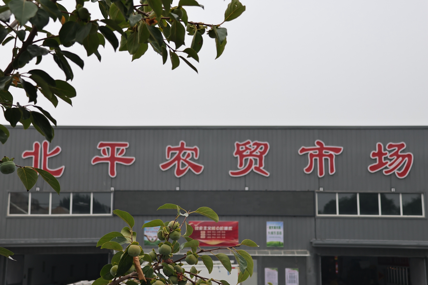 “双争”有我丨保定市满城区：为流动商贩“安家” “烟火气”增文明味_fororder_满城区北平农贸市场 摄影 康胜