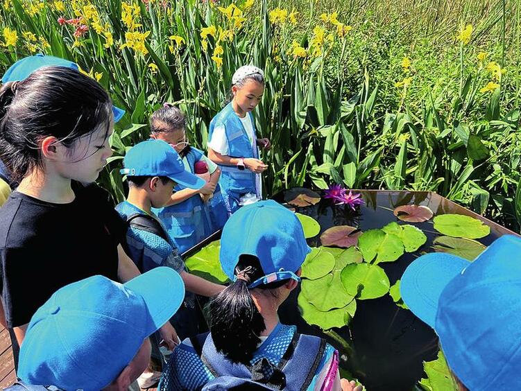 锦绣河山美如画 夏日欢聚在绿城