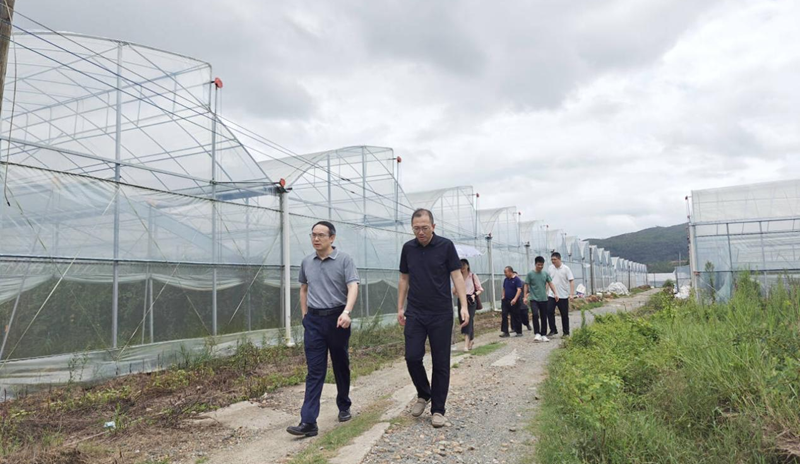 江西制造职业技术学院一行深入赣县区开展乡村振兴工作调研_fororder_图片4