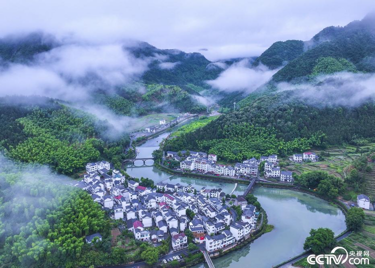 天天学习｜这项延续21年的民生工程照见“钉钉子精神”