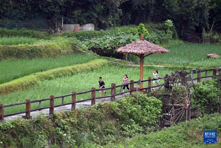 文化中国行丨平岩村：侗寨笙歌奏唱富村强音