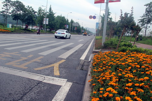 【区县联动】【合川】合川钓鱼城街道：提升城市管理 营造品质生活【区县联动列表】合川：提升城市管理 营造品质生活