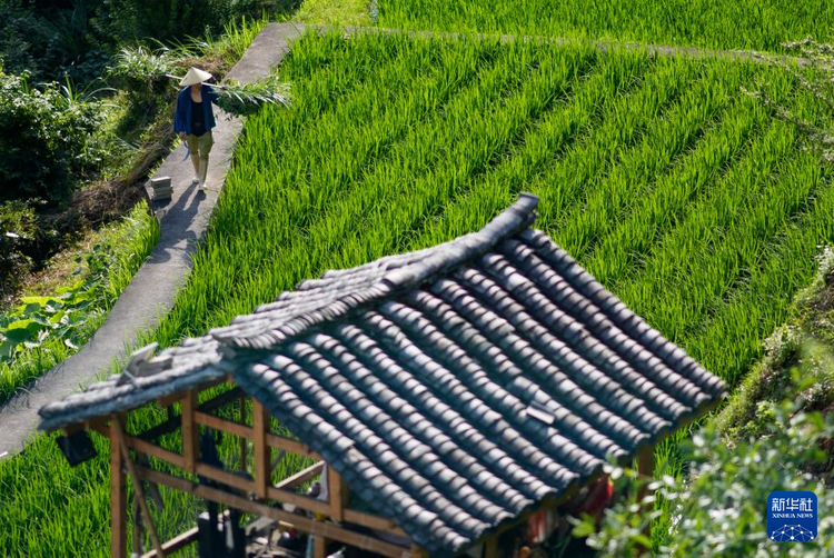 贵州雷山控拜村：600年间回荡的银之歌