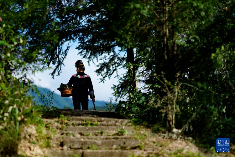 贵州雷山控拜村：600年间回荡的银之歌