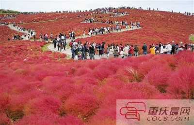 （城市远洋）【要闻  摘要】本月重庆开通 到大阪和东京直飞航线