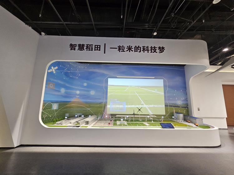 八五九农场：从湿地保护走出“稻路”发展新路径