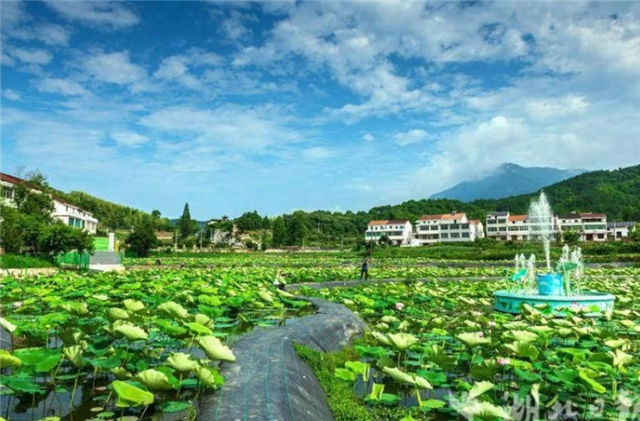 湖北武穴：多彩旅游路串起一路好风景_fororder_LOCAL17212897801317H5B4PAU3V