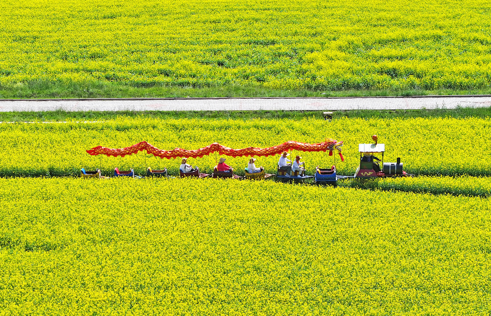 【大美甘肃】甘肃张掖民乐：扁都口油菜花海迎客来_fororder_DJI_20240715102323_0333_D.JPG