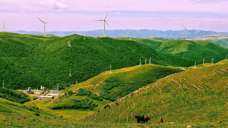 【原创】乘改革东风、聚奋进合力，谱新时代新征程新篇章——党的十九届三中全会以来甘肃天水甘谷县全面深化改革侧记_fororder_发电