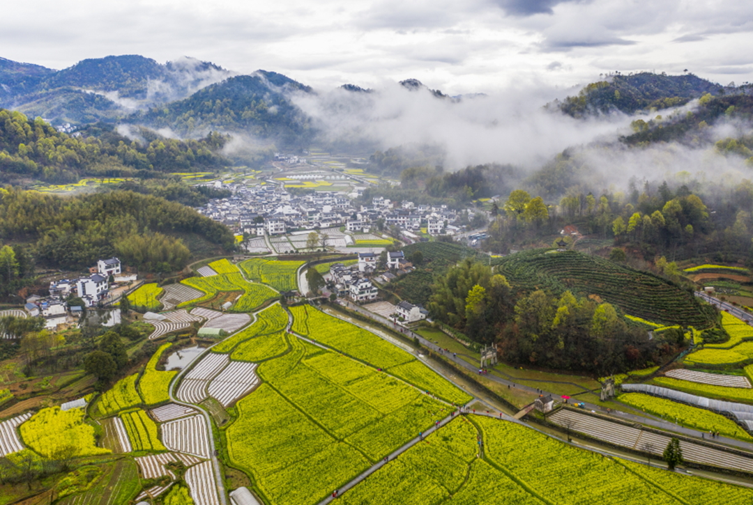 黄山市徽州区：“走出去+引进来”打响“养生潜口”品牌_fororder_图片22