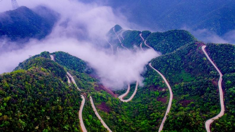 万千气象看中国 | 大黄山文旅产业璀璨崛起 激活地域文化新活力_fororder_图片19