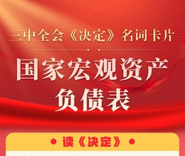 三中全会《决定》名词卡片天天学：国家宏观资产负债表