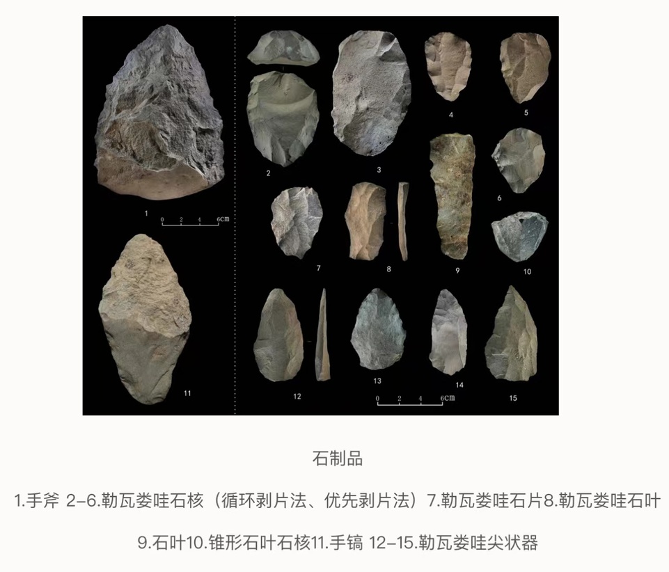 中肯旧石器联合考古取得新成果