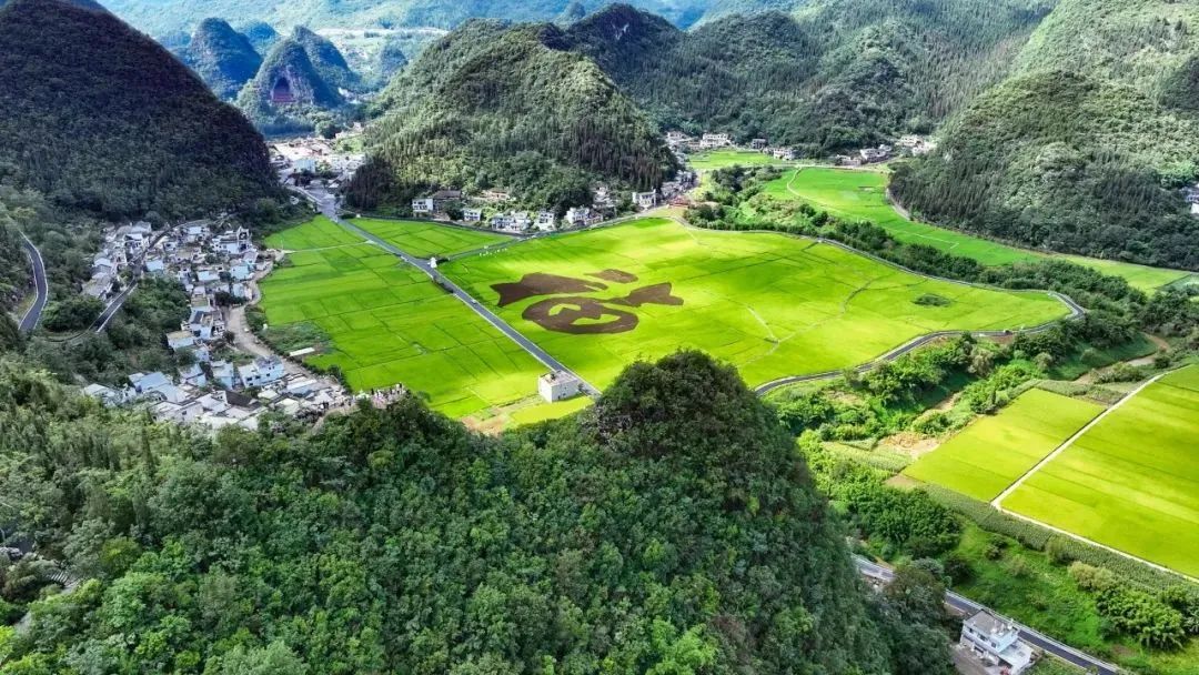 贵州山地丨“飞”进万峰林，独享夏日“松弛感”