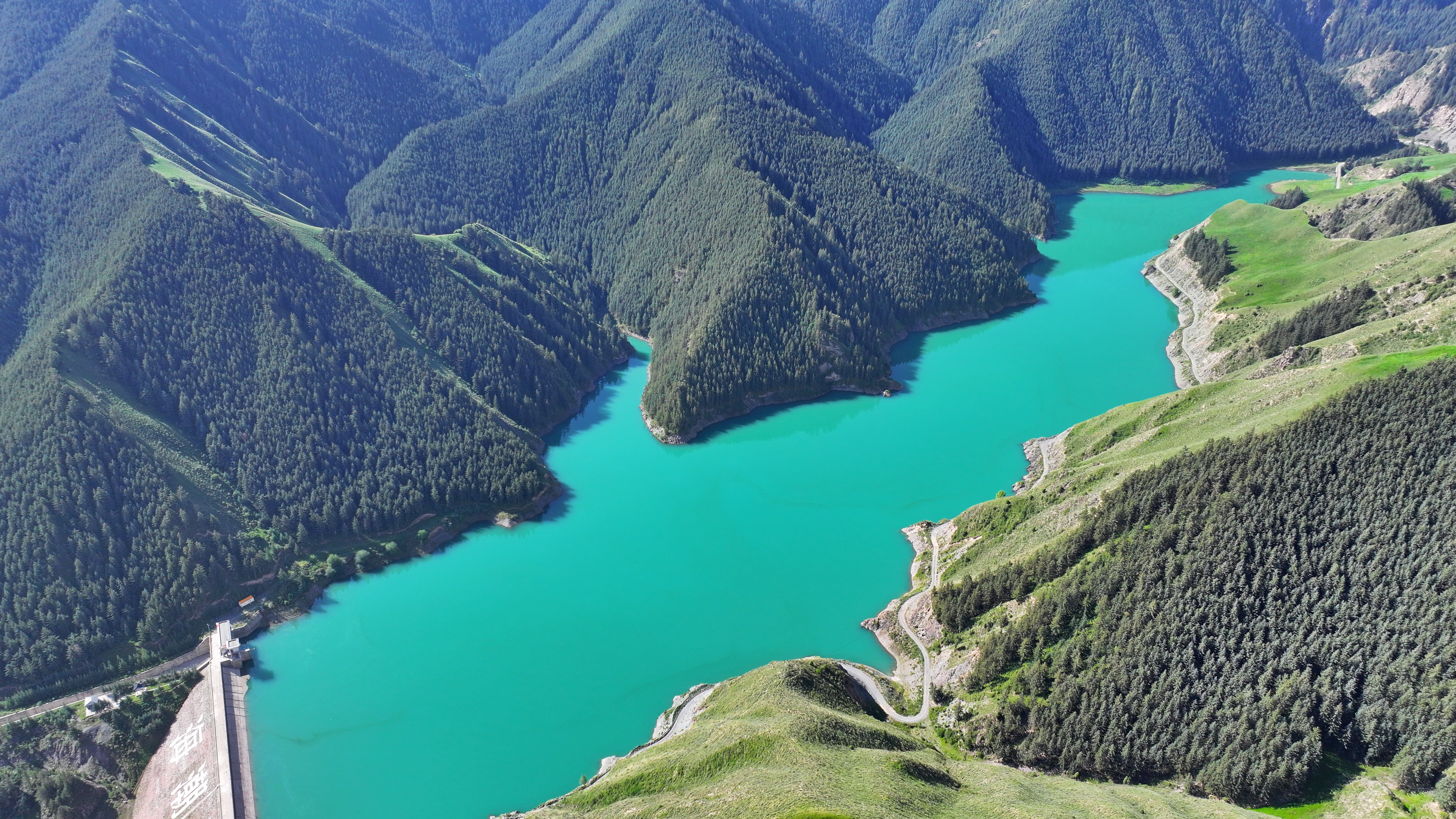 【原创】甘肃民乐：夏日祁连山国家公园景色壮美_fororder_DJI_20240717094111_0435_D.JPG