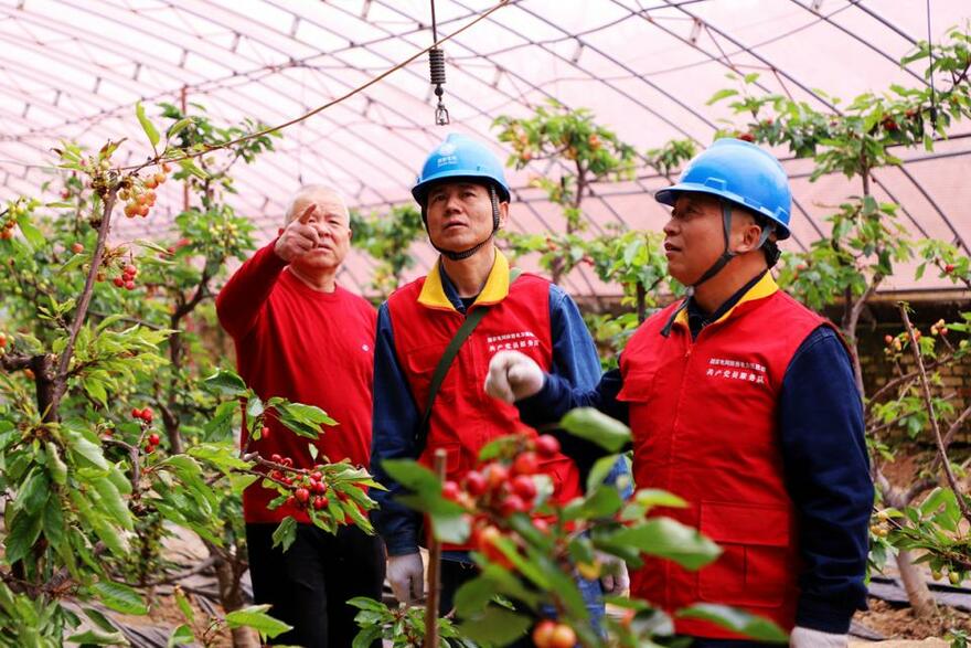 Red Vest Electrical Workers Serve Society_fororder_3