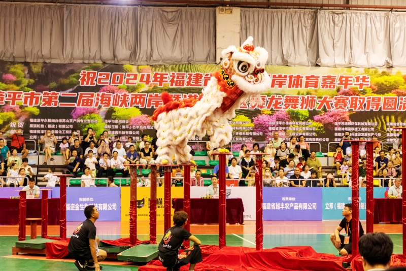 漳平市第二届海峡两岸暨港澳地区舞龙舞狮大赛成功举办_fororder_微信图片_20240823152648